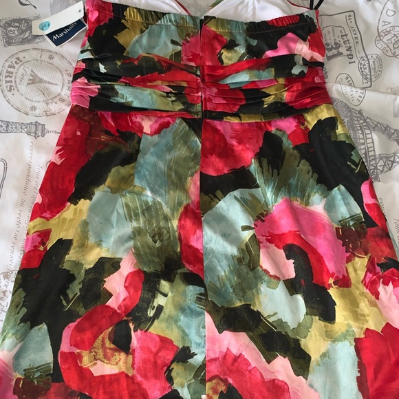 Alyn Paige Dress Size 15/16 - Picture 4 of 5